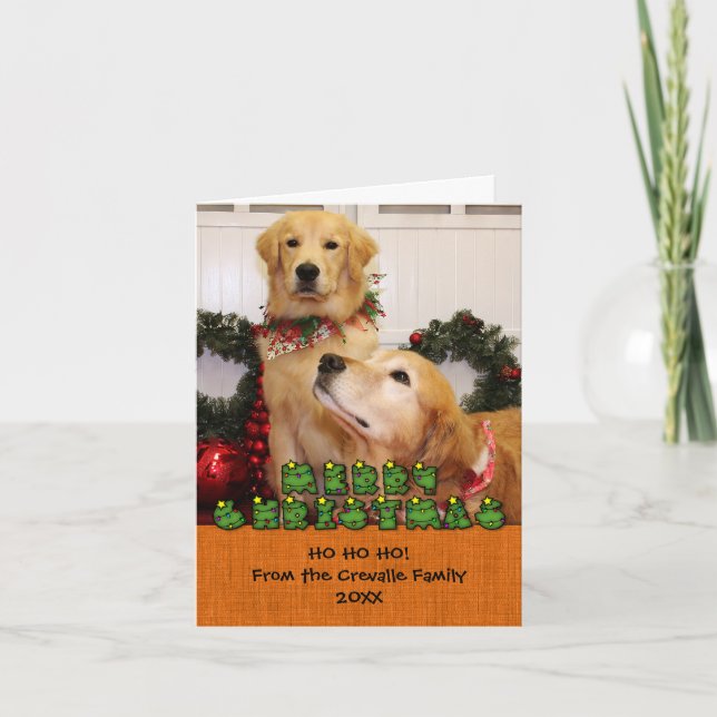Golden Retrivers jul-fotokort Helgkort (Framsida)