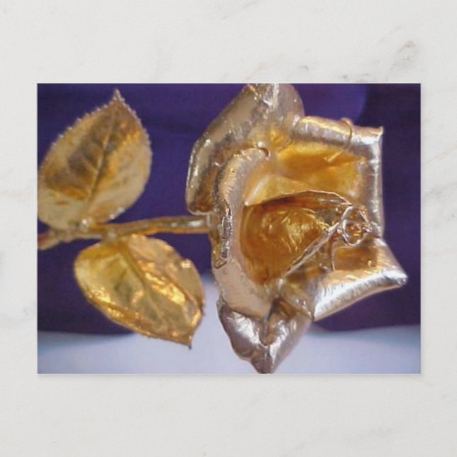 Golden ro - forever love vykort (Framsida)