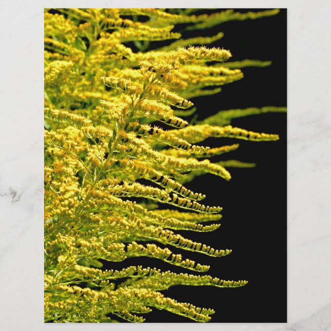 Golden rod guld diamant (Framsida)