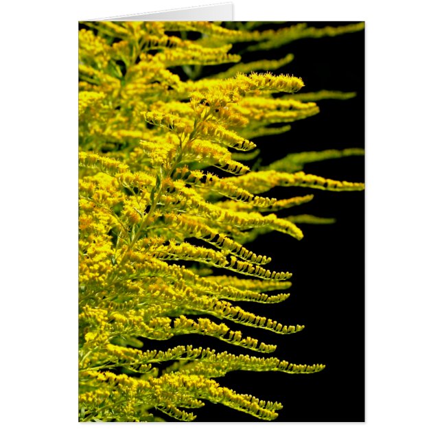 Golden rod guld diamant hälsningskort (Framsidan)
