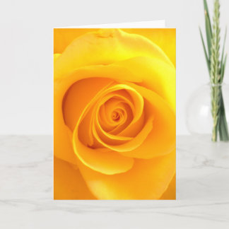 Golden Rose Greeting Card Kort
