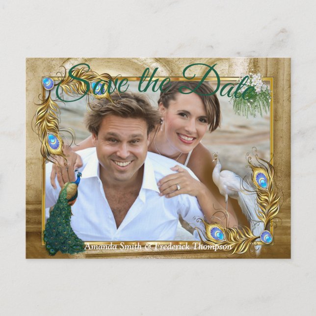 Golden Royal Peacock Feathers Meddelande Vykort (Framsida)