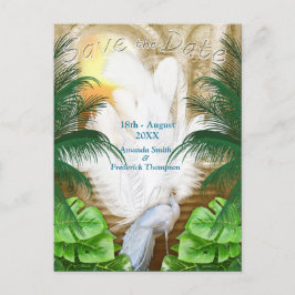 Golden Royal Peacock Temple Dreams Meddelande Vykort