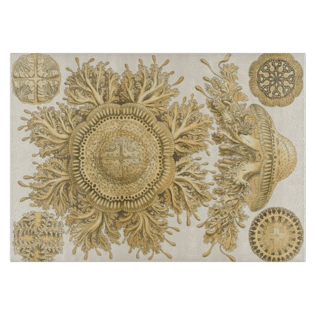 Golden Sea Creates (Framsidan)