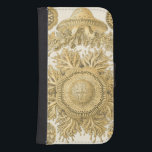 Golden Sea Creates Galaxy S4 Plånbok<br><div class="desc">Ernst Haeckel är en kreativ och uppfinningsrik konstnär. I denna contemporary biet av konst fångar han havslivets anemonurchiner i guld och tvångsmässigt formgivning. Du kommer inte att ha någon annan konstens biet. Få den här nyskapande biet av havskonst på dina produkter i dag!</div>