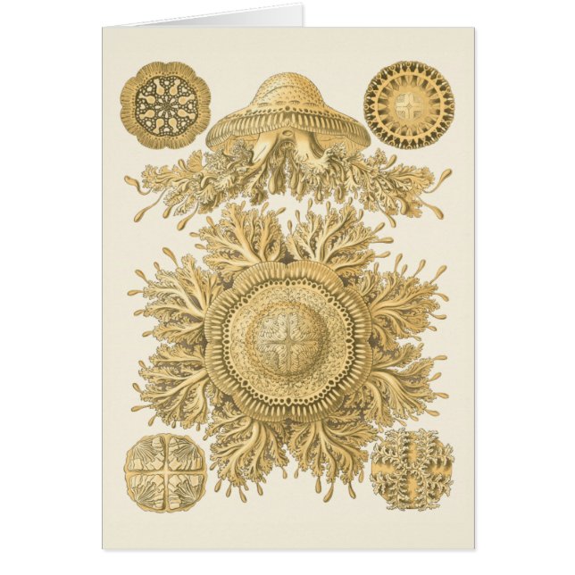 Golden Sea Creates Hälsningskort (Framsidan)