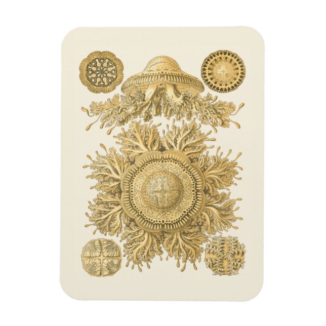 Golden Sea Creates Magnet (Vertikal)
