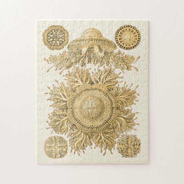 Golden Sea Creates Pussel (Vertikal)