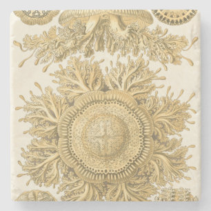 Golden Sea Creates Underlägg Sten