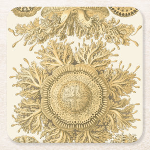 Golden Sea Creatys Underlägg Papper Kvadrat