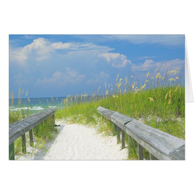 Golden Sea Oats OBS Kort (Framsidan Horizontal)