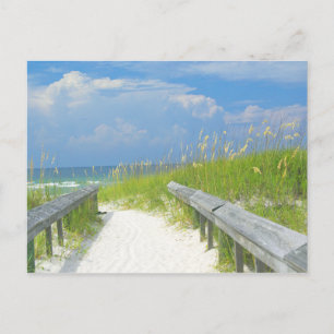 Golden Sea Oats Vykort