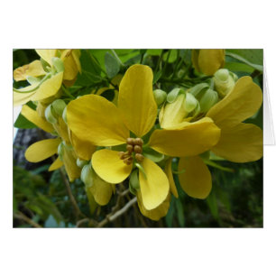 Golden Shower Träd Tropical Gult Blommigt Hälsningskort