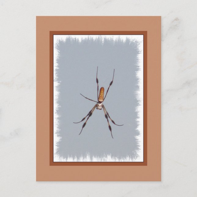 Golden Silke Orb-Weaver Vykort (Framsida)