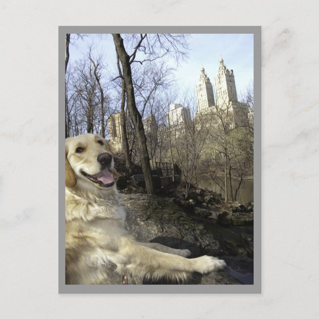 Golden Smiles i Central Park Ramble Postcard Vykort (Framsida)