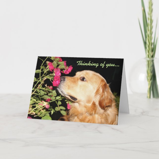 Golden Sniffing Flowers and Thinking You Kort (Framsida)