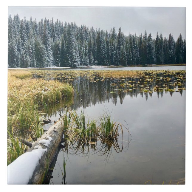 Golden Snö Kakelplatta (Framsidan)