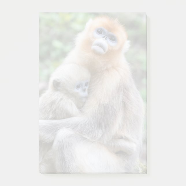 Golden Snub-Nposed Monkey med Baby Post-it Block (Framsida)