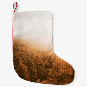 GOLDEN SOL ÖVER EN SKOGSBRUK LITEN JULSTRUMPA