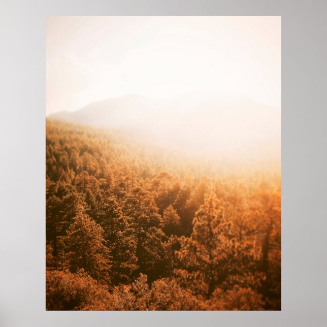 GOLDEN SOL ÖVER EN SKOGSBRUK POSTER (Framsidan)