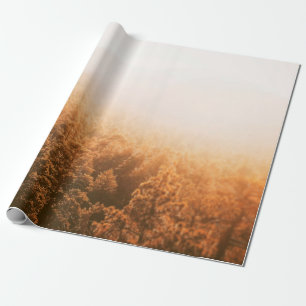 GOLDEN SOL ÖVER EN SKOGSBRUK PRESENTPAPPER