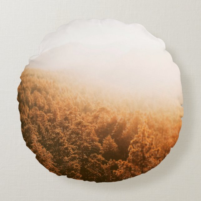 GOLDEN SOL ÖVER EN SKOGSBRUK RUND KUDDE (Framsidan)