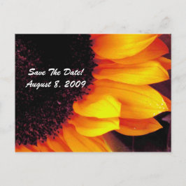Golden Solros Blommigt Bröllop spara datum Meddelande Vykort