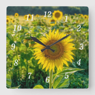 Golden Solros Fält Wall Clock Fyrkantig Klocka