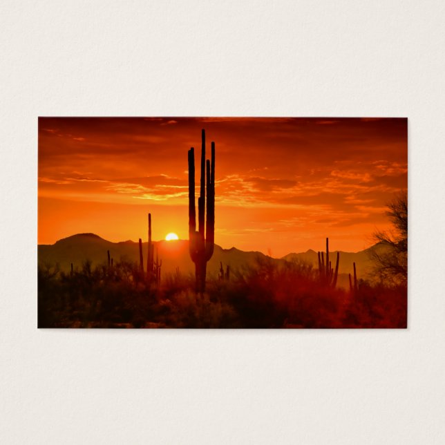 Golden Southwest Himlar Visitkort (Framsidan)