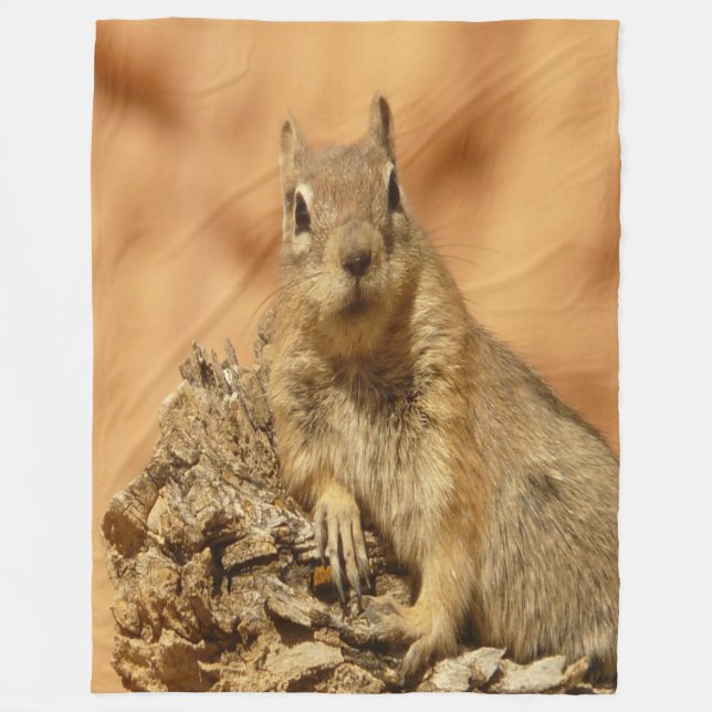 Golden Squirrel Fleecefilt (Framsidan)