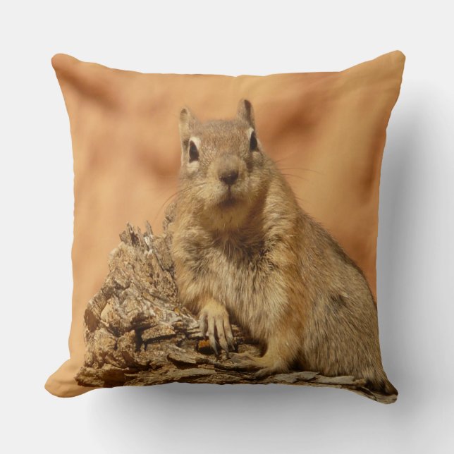 Golden Squirrel Kudde (Framsida)