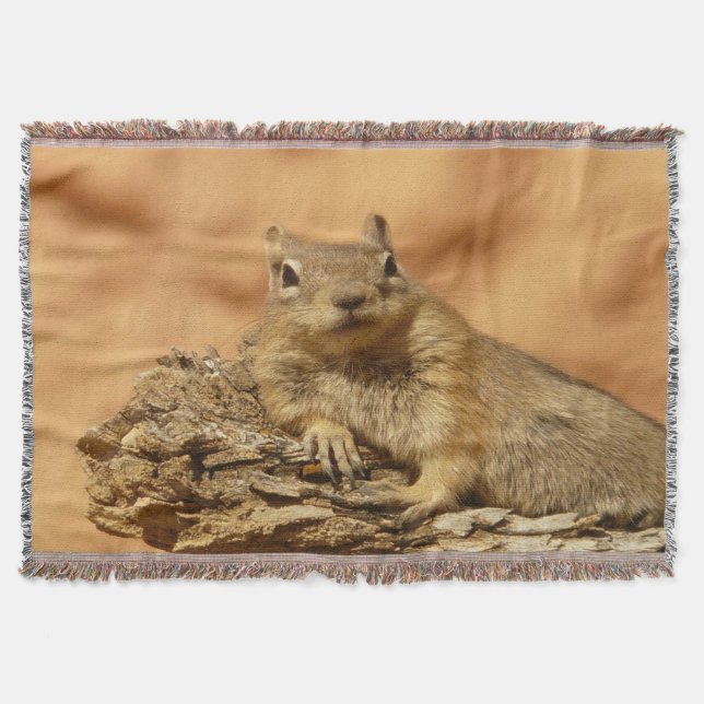 Golden Squirrel Mysfilt (Framsidan)