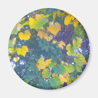 GOLDEN STÄNG UPP MAGNET