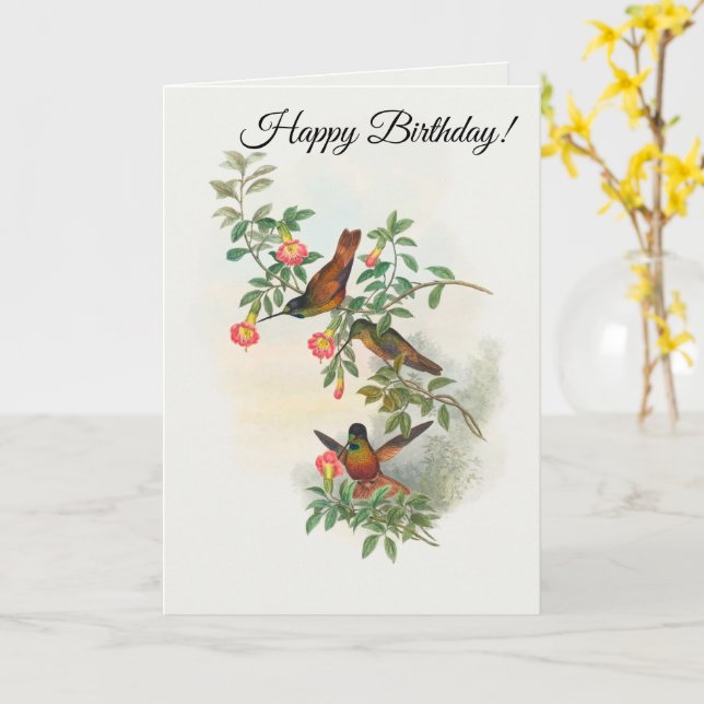 Golden Star-frontlet Kort (Gul blomma)