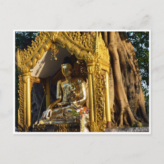 Golden stupa buddha vykort (Framsida)