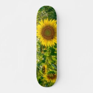 Golden Sunblomma Fält Mini Skateboard Bräda 18,5 Cm