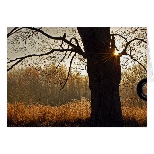 Golden Sunrise Hälsningskort (Framsidan Horizontal)