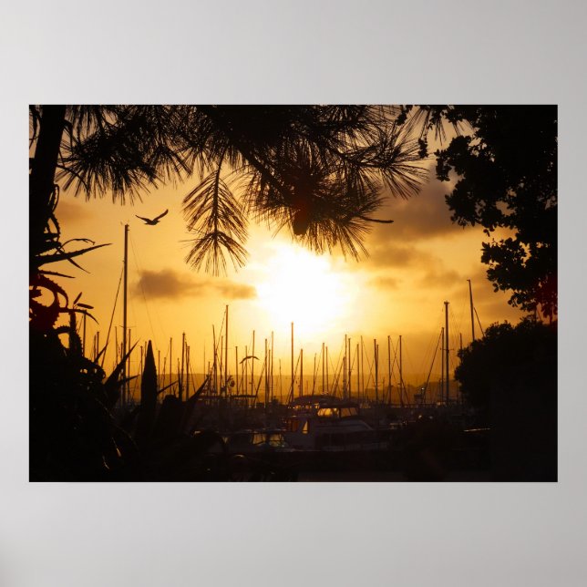 Golden Sunrise över Harbour Poster (Framsidan)