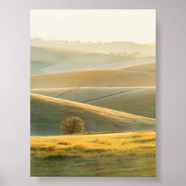Golden Sunrise over Rolling Backe Poster (Framsidan)
