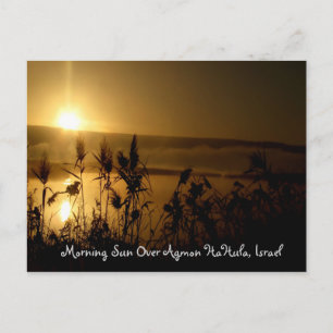 Golden Sunrise Vykort