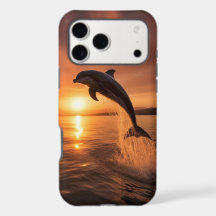 Golden Sunset Dolphin