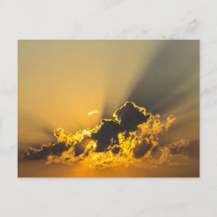 Golden Sunset Illuminating a Cloud Vykort
