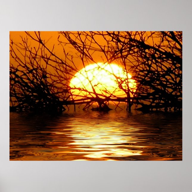 Golden Sunset Liquid Reflection Poster (Framsidan)