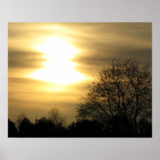 Golden Sunset med Silhouetted Träd Poster (Framsidan)