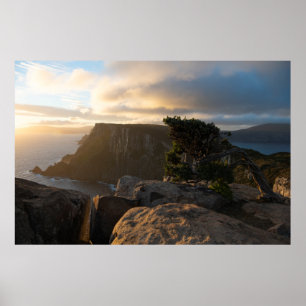 Golden sunset på de högsta havsklipporna, Tasmania Poster