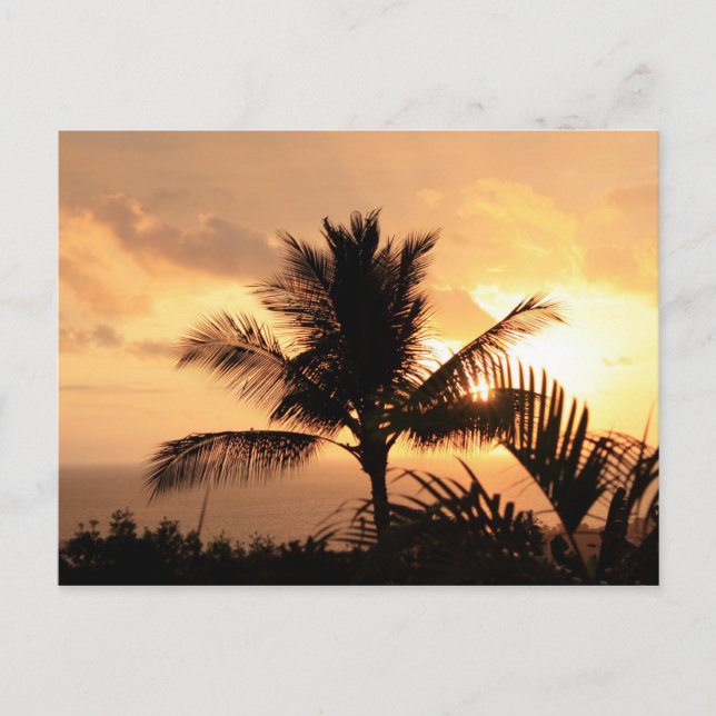 Golden Sunset Tropical Postcard Vykort (Framsida)