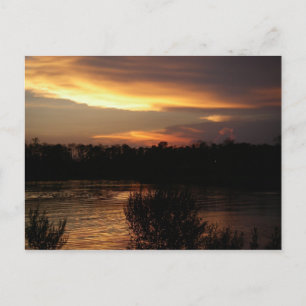 Golden Sunset-vykort Vykort
