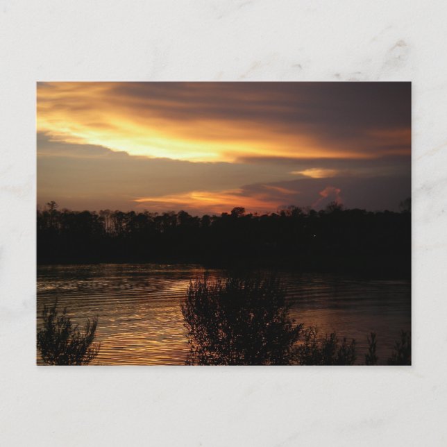 Golden Sunset-vykort Vykort (Framsida)