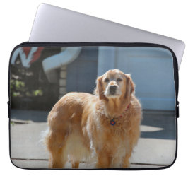 Golden Sunshine Laptop Fodral