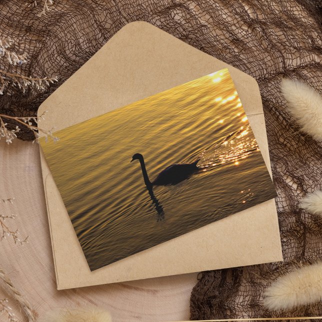 Golden Svan Kort (Skapare uppladdad)